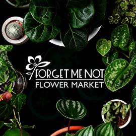 Best Online plant Nursery | HouseplantSale.com - Houseplants for sale | Best Indoor Plants and Benefits | Forget Me Not Flower Market Favicon 270px