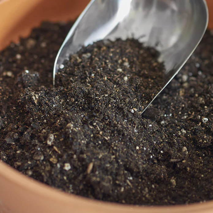 Indoor Plant Potting Soil - Puck - Image 2
