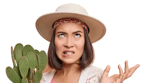 Should I repot plants after buying? Plant Care Tip | est Indoor Plants & Houseplant Sale | Forget Me Not Flower Market