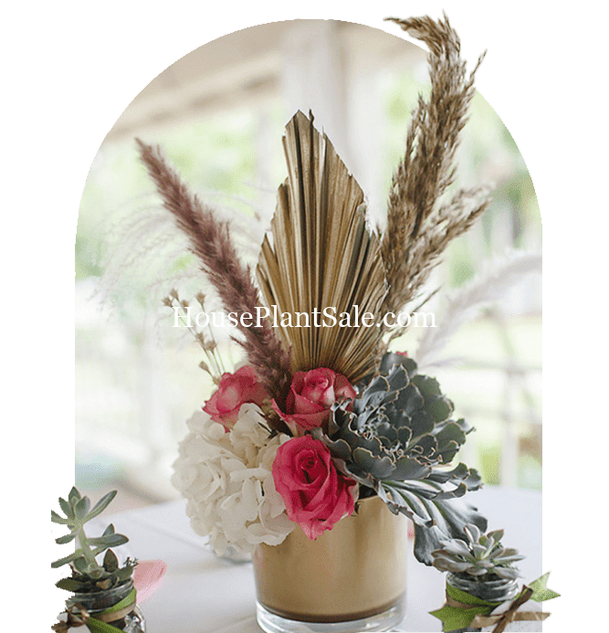 Me Not Flower Market Bonita Springs (239) 8783433