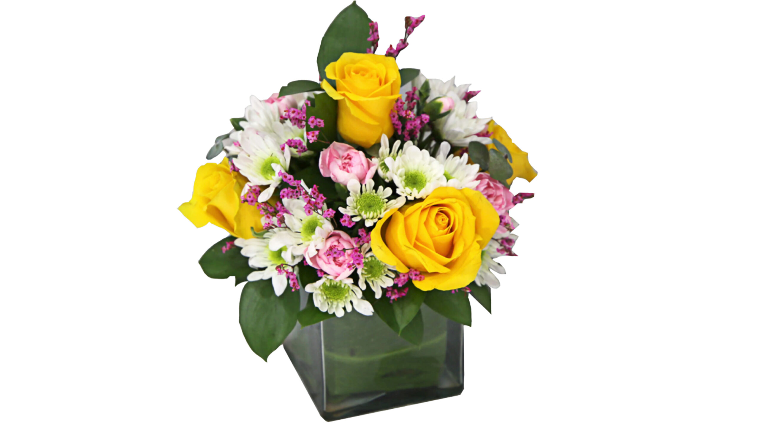 To the Moon & Back Floral Arrangement | House Plants for Sale - Forget Me Not Flower Market