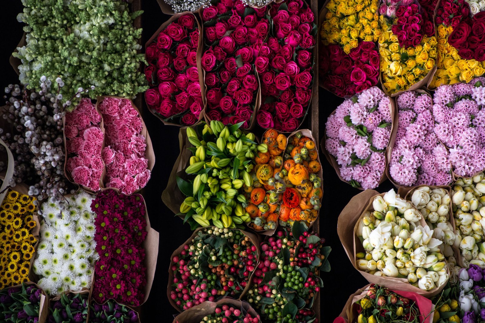 Bulk flowers and wholesale flowers store near you in Bonita Springs, Naples, Fort Myers, Cape Coral, Marco Island, Captiva, Sanibel, and surrounding areas