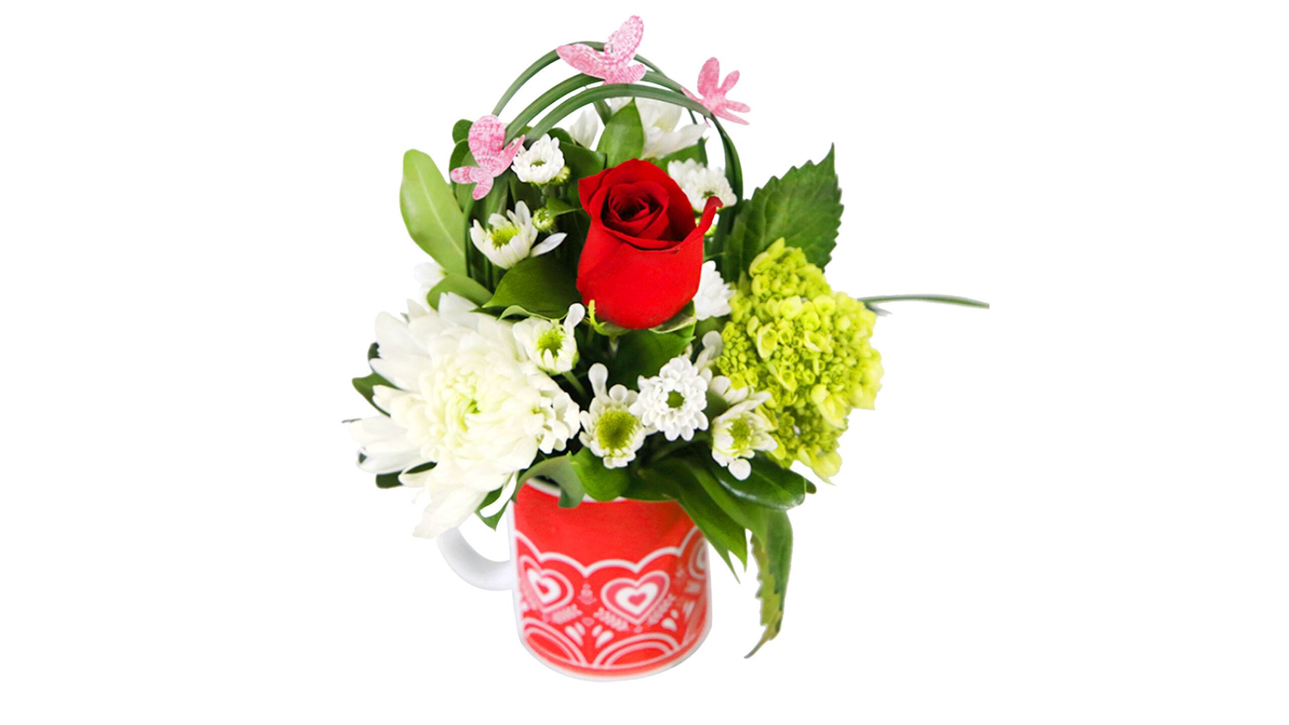 Charming Coffee Mug Bouquet Delivery | House Plants for Sale - Forget Me Not Flower Market