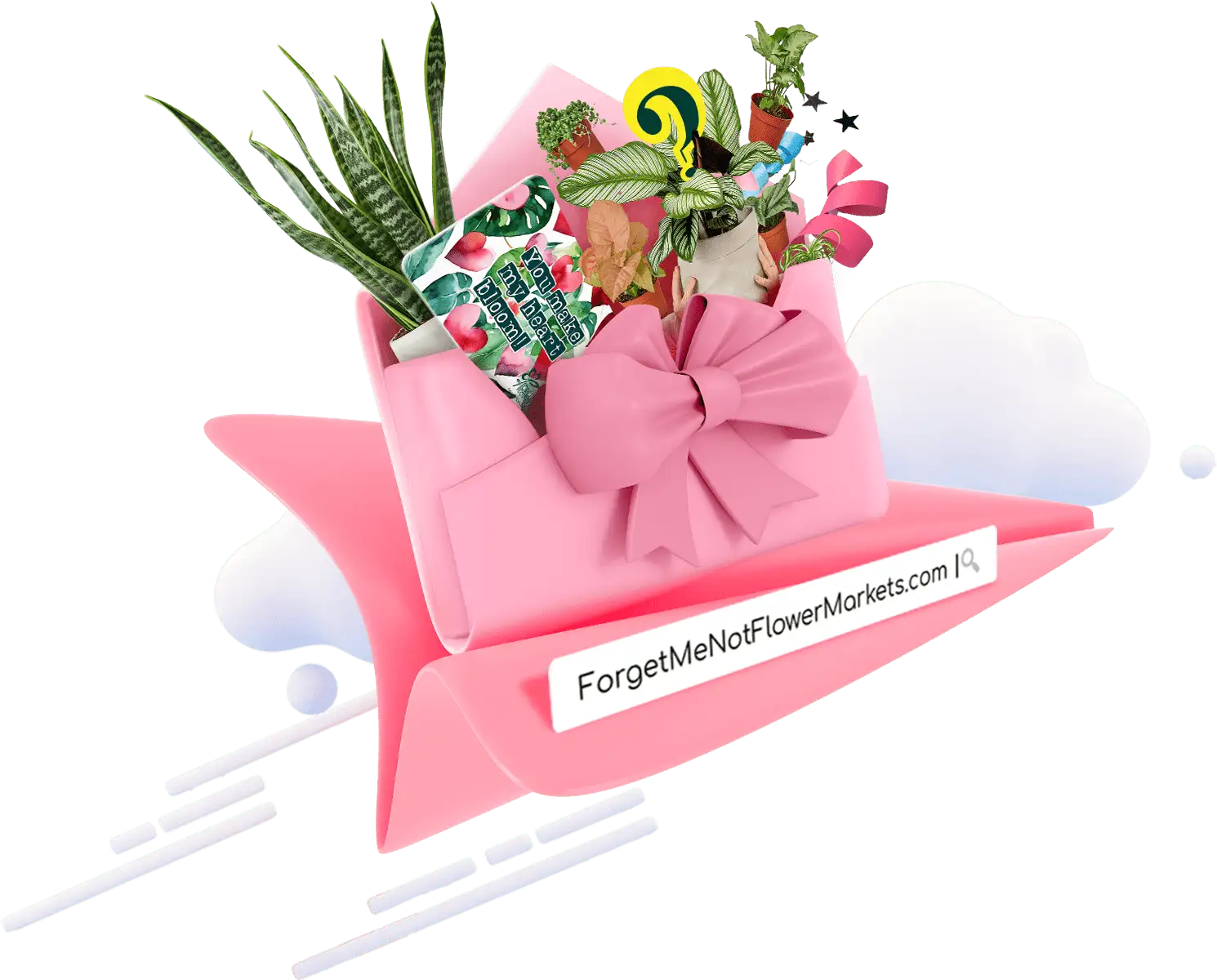 international women's day gift ideas, gift delivery and gifts for plant lovers