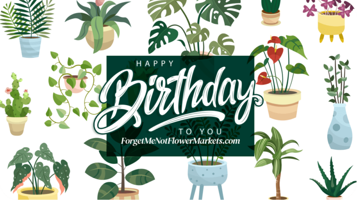 birthday plant gift card for plant lovers and birthday plant delivery, plant gift card, gift card for plant lovers, house plant gift card - best gifts for plant lovers | houseplantsale.com - houseplants for sale online | best indoor plants | forget me not flower market