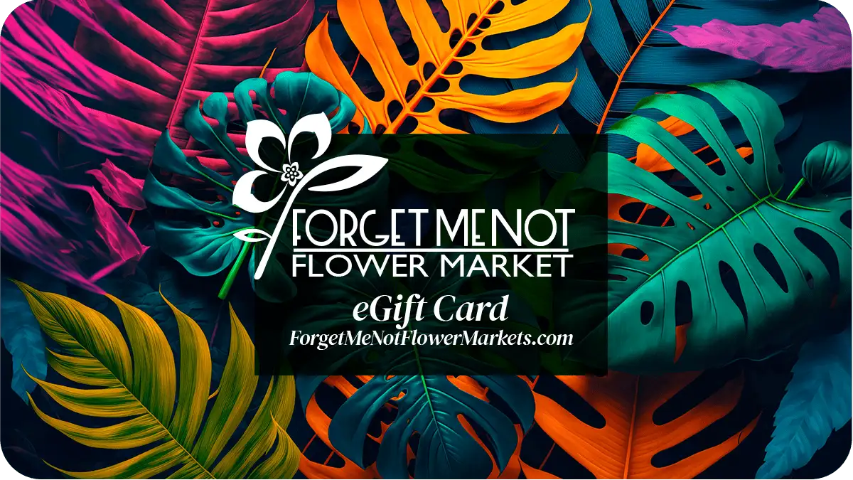 🌟 Last-Minute Magic Unleashed! ✨ use code LASTMAGIC15 at checkout