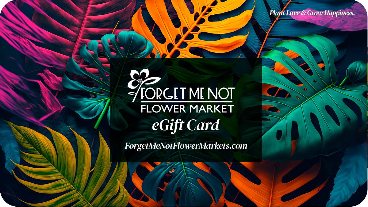 Shop for the plant Lovers in Your Life - View Forget Me Not Flower Market
