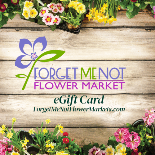 Image of plant gift card, gift card for plant lovers, house plant gift card - best gifts for plant lovers | houseplantsale.com - houseplants for sale online | best indoor plants | forget me not flower market