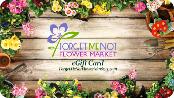 Image of plant gift card, gift card for plant lovers, house plant gift card - best gifts for plant lovers | houseplantsale.com - houseplants for sale online | best indoor plants | forget me not flower market