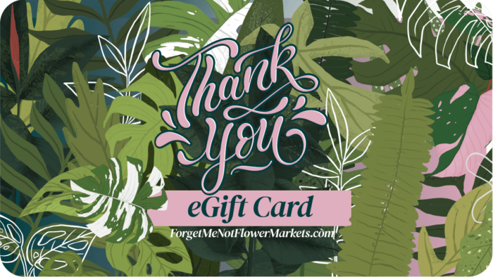 Image of plant gift card, gift card for plant lovers, house plant gift card - best gifts for plant lovers | houseplantsale.com - houseplants for sale online | best indoor plants | forget me not flower market