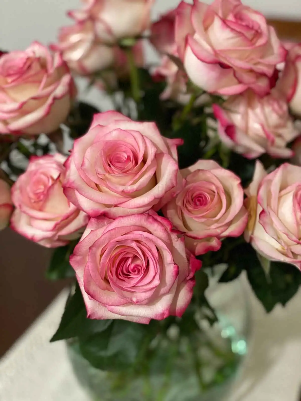 Flower Care Tips on How to Extend the Life of your flowers Flower Care Tips on How to Extend the Life of your flowers Bonita Springs Flower Market - Forget Me Not Flower Market | Cape Coral, Fort Myers, Naples | Indoor Plants, Outdoor Plants, Garden Plants, Flower plants Nursery, Wholesale Flowers and more