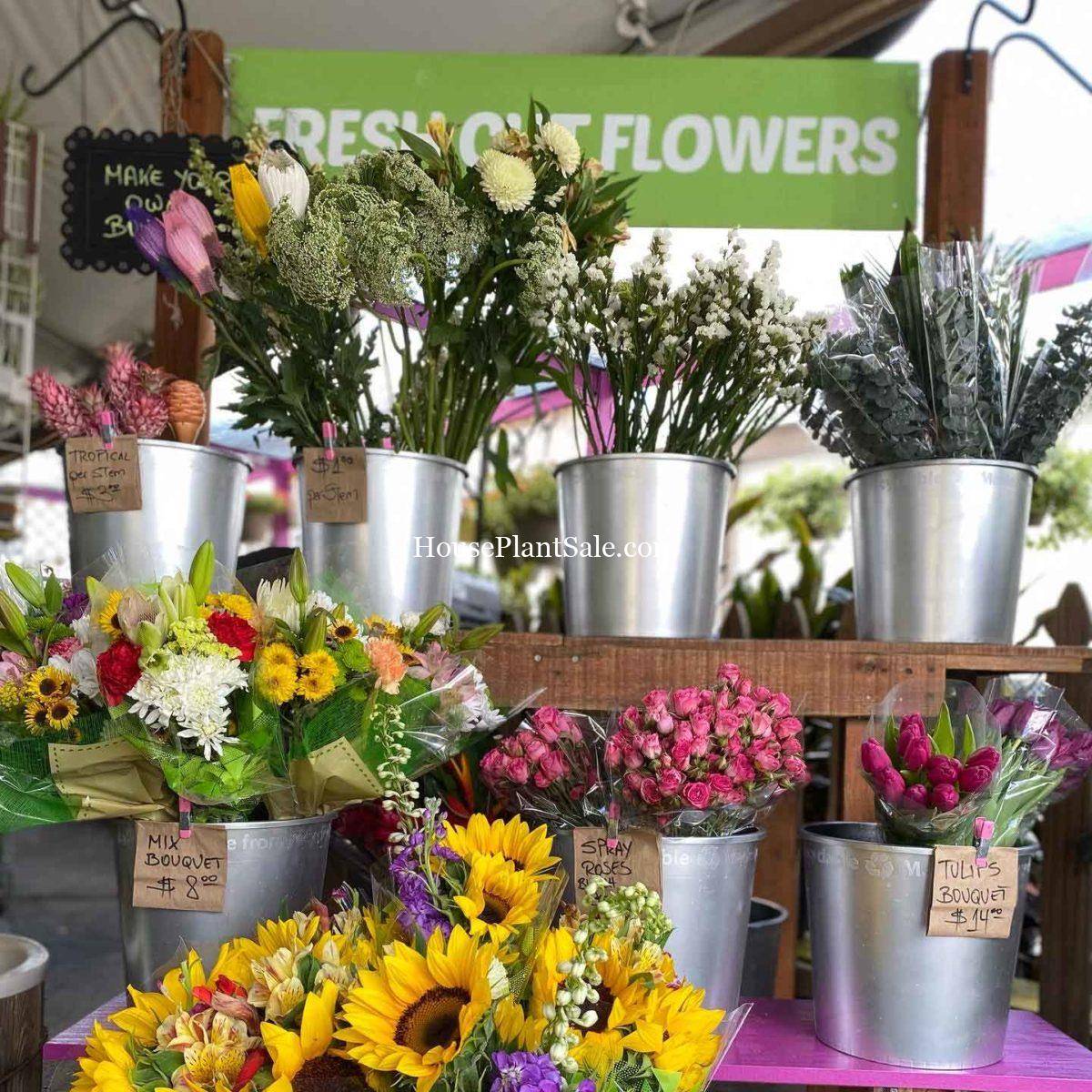 Nursery Fresh Wholesale Flowers