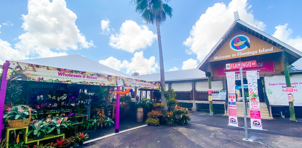 Learn About Our Bonita Springs Flower Market
