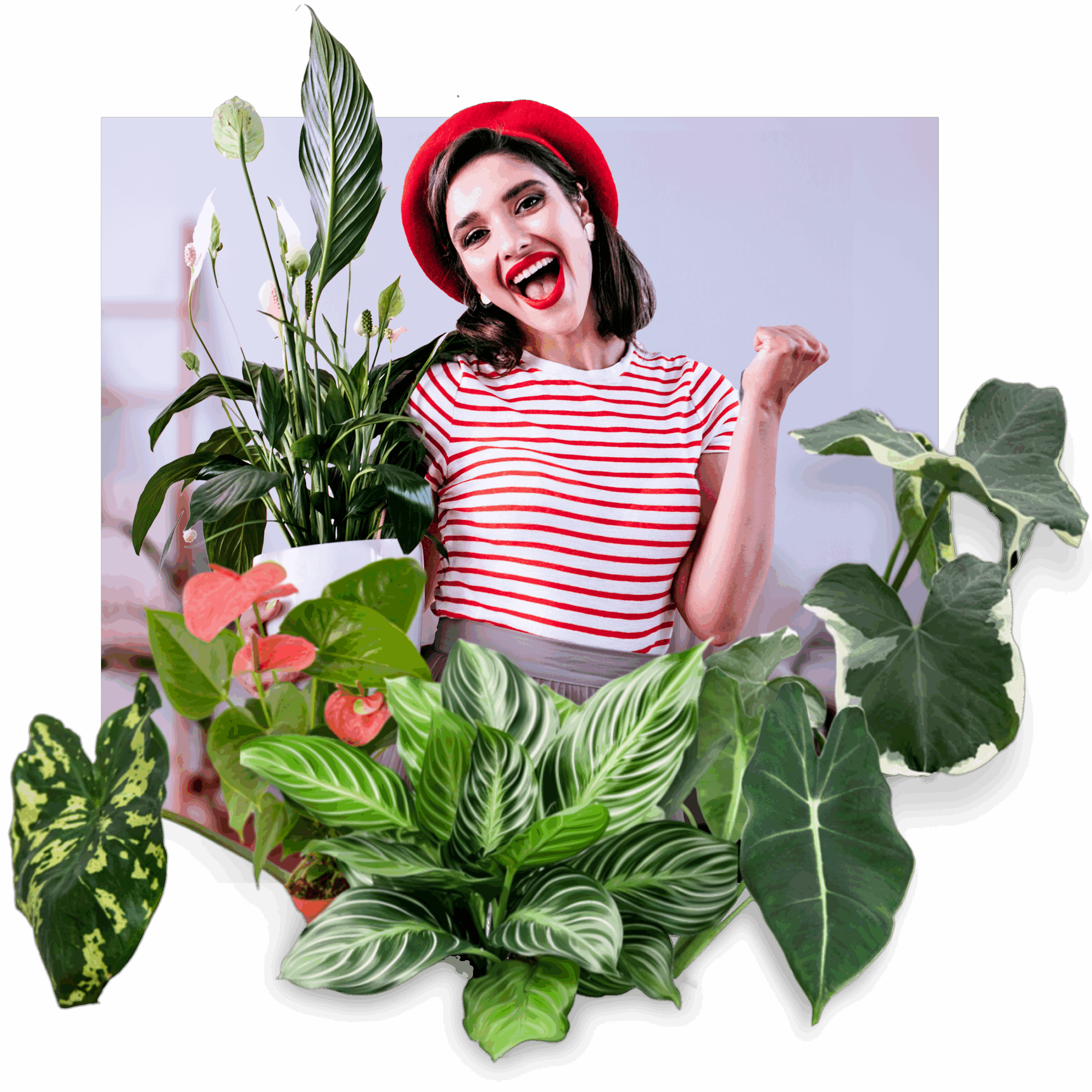 Plants for valentines Day