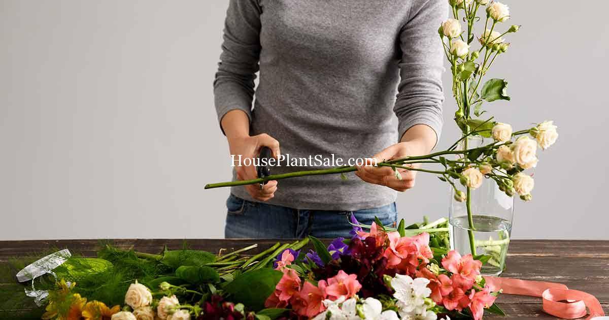 Flower Care Tips on How to Extend the Life of your flowers