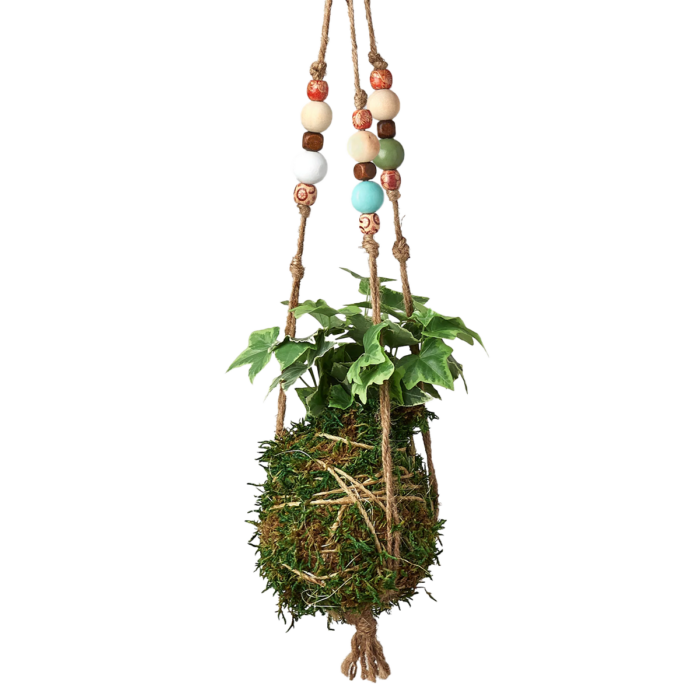 ivy plant lover gift idea - bead kokedama moss ball hanging house plants for sale | Forget Me Not Flower Market online plant shop | online nurseries near to me - great for Christmas gift