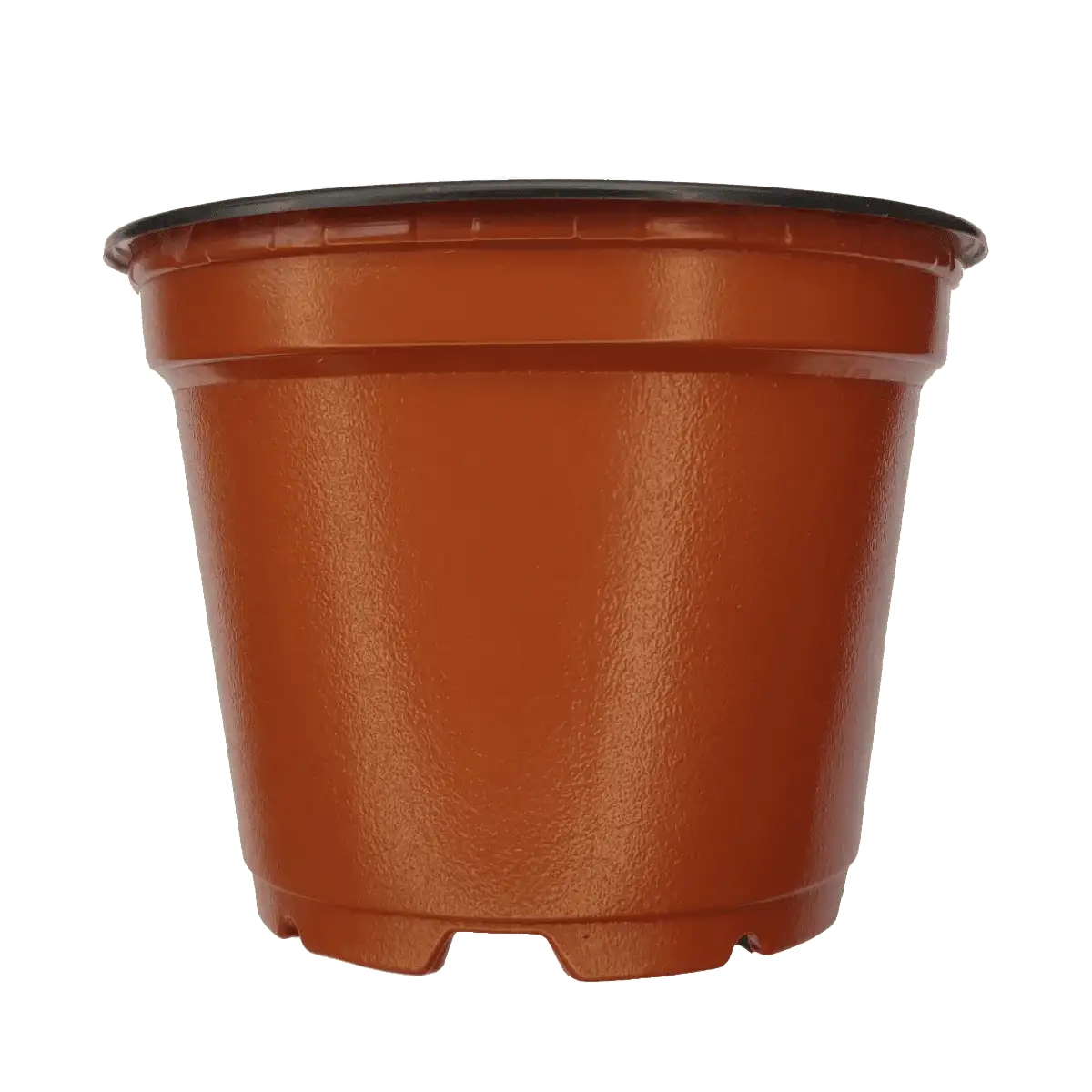 Nursery Pot House Plants Sale