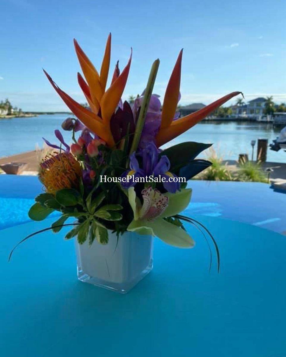 Wedding Florist - Your Local Florist - Forget Me Not Flower Market Bonita Springs Flower Market | Cape Coral, Fort Myers, Naples | Indoor Plants, Outdoor Plants, Garden Plants, Flower plants Nursery, Wholesale Flowers and more