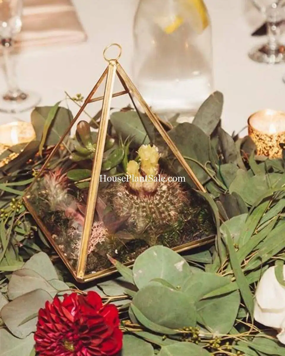 Wedding Florist - Your Local Florist - Forget Me Not Flower Market Bonita Springs Flower Market | Cape Coral, Fort Myers, Naples | Indoor Plants, Outdoor Plants, Garden Plants, Flower plants Nursery, Wholesale Flowers and more
