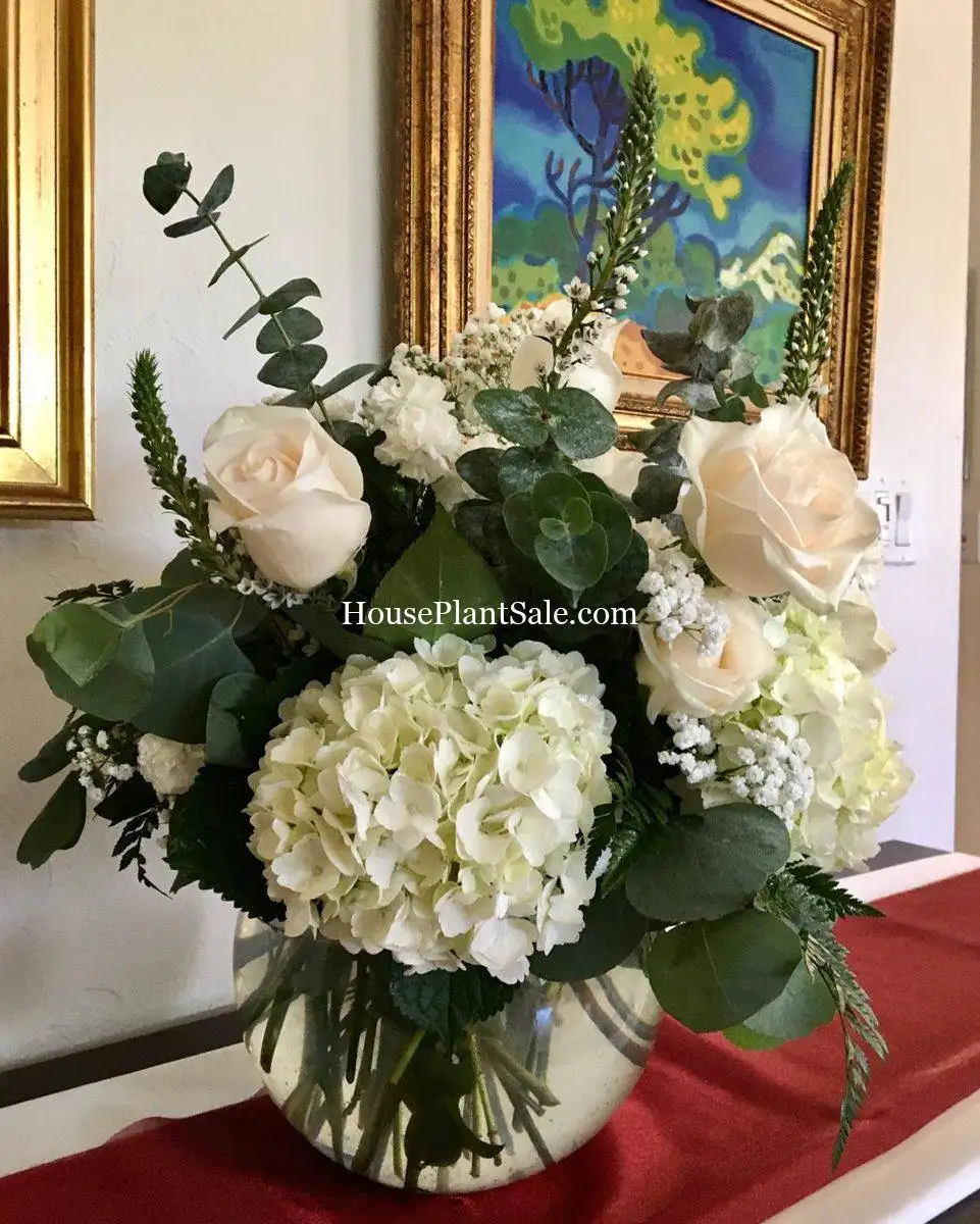 Wedding Florist - Your Local Florist - Forget Me Not Flower Market Bonita Springs Flower Market | Cape Coral, Fort Myers, Naples | Indoor Plants, Outdoor Plants, Garden Plants, Flower plants Nursery, Wholesale Flowers and more