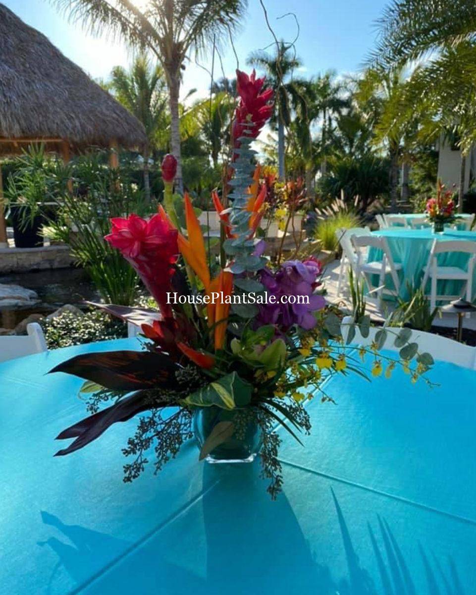 Wedding Florist - Your Local Florist - Forget Me Not Flower Market Bonita Springs Flower Market | Cape Coral, Fort Myers, Naples | Indoor Plants, Outdoor Plants, Garden Plants, Flower plants Nursery, Wholesale Flowers and more