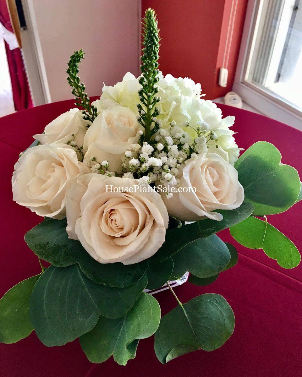 Wedding Florist - Your Local Florist - Forget Me Not Flower Market Bonita Springs Flower Market | Cape Coral, Fort Myers, Naples | Indoor Plants, Outdoor Plants, Garden Plants, Flower plants Nursery, Wholesale Flowers and more