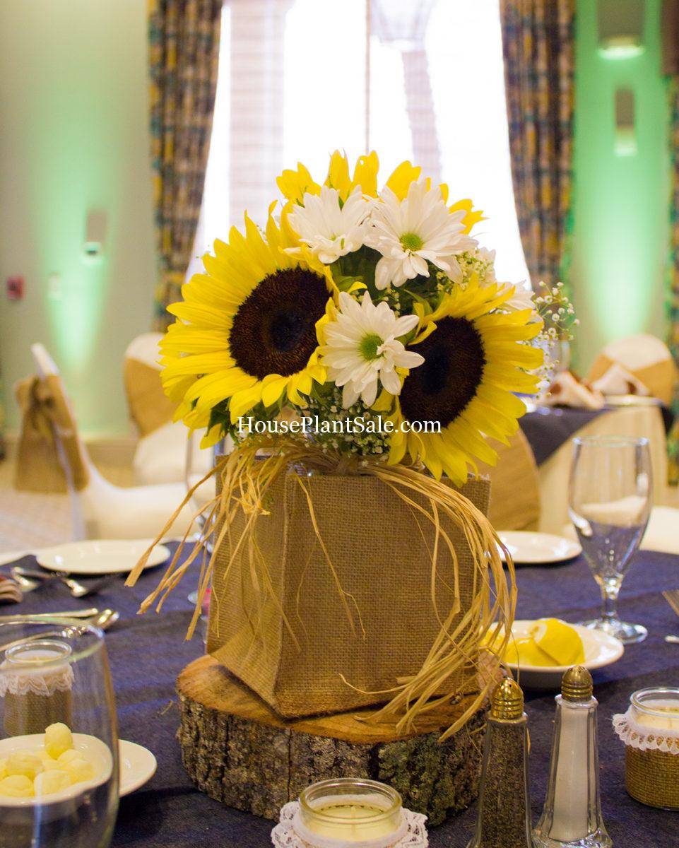 Sunflower arrangements