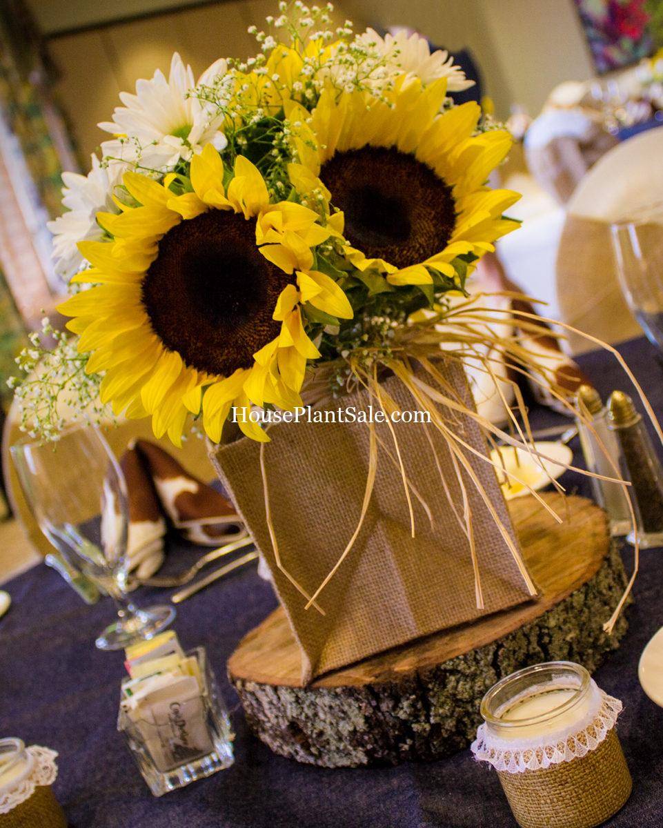 Sunflowers for bridal shower