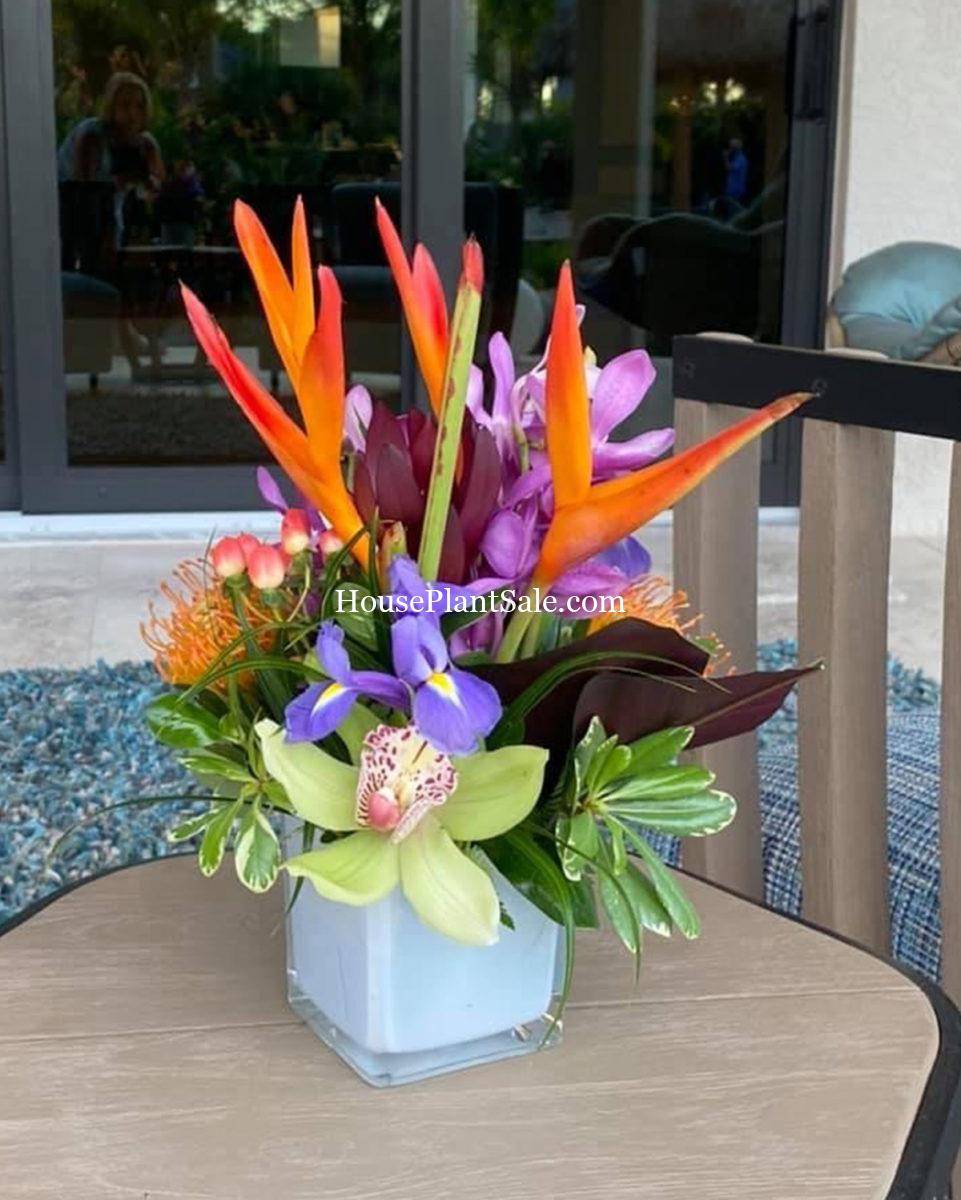 Wedding Florist - Your Local Florist - Forget Me Not Flower Market Bonita Springs Flower Market | Cape Coral, Fort Myers, Naples | Indoor Plants, Outdoor Plants, Garden Plants, Flower plants Nursery, Wholesale Flowers and more