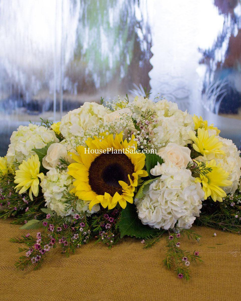 Wedding Florist - Your Local Florist - Forget Me Not Flower Market Bonita Springs Flower Market | Cape Coral, Fort Myers, Naples | Indoor Plants, Outdoor Plants, Garden Plants, Flower plants Nursery, Wholesale Flowers and more