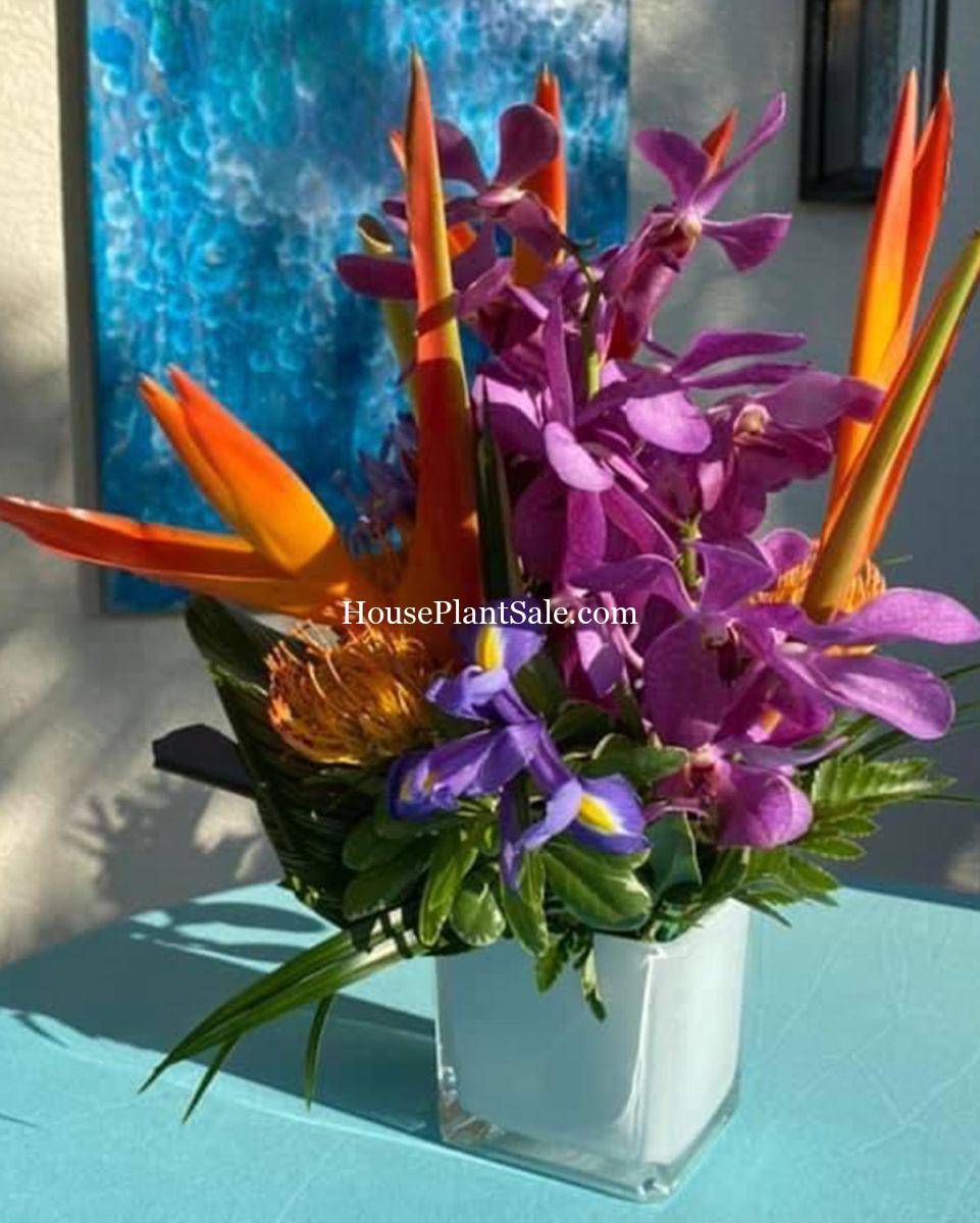 Wedding Florist - Your Local Florist - Forget Me Not Flower Market Bonita Springs Flower Market | Cape Coral, Fort Myers, Naples | Indoor Plants, Outdoor Plants, Garden Plants, Flower plants Nursery, Wholesale Flowers and more