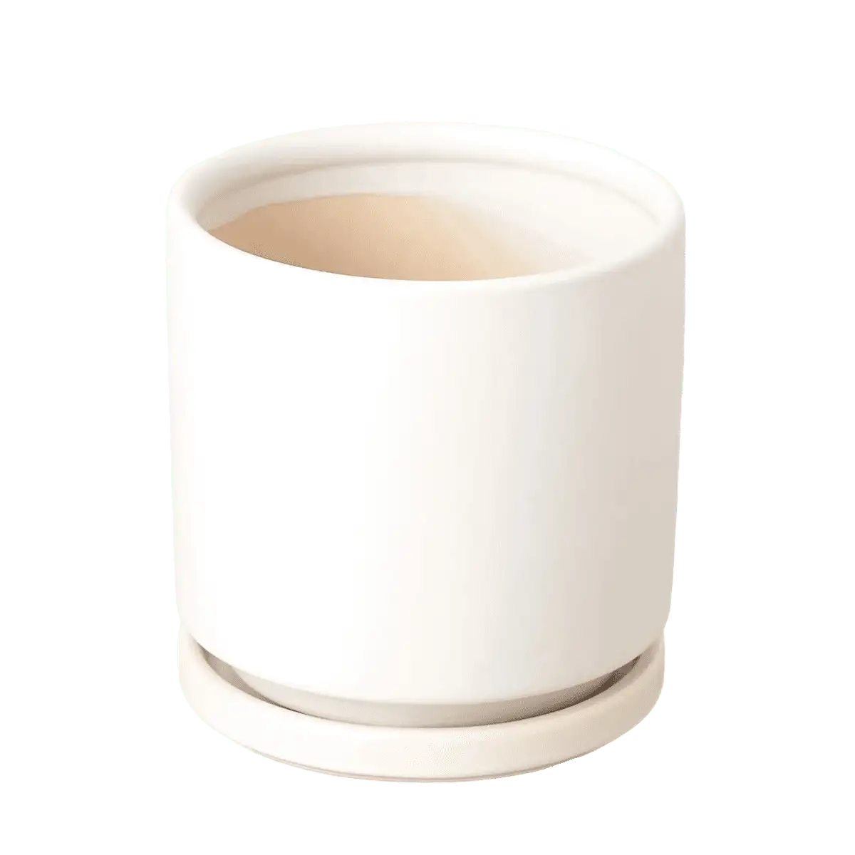 white decorative pot planter | best online plant nursery | houseplantsale.com - houseplants for sale online | best indoor plants | forget me not flower market