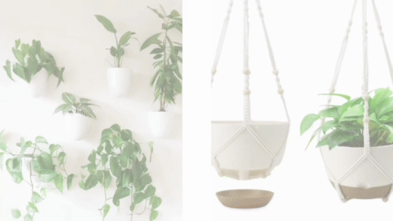 Must haves Self watering planters