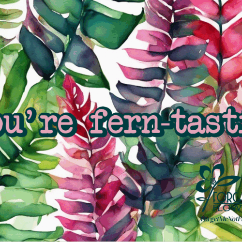 plant gift card for plant lovers and birthday plant delivery, plant gift card, gift card for plant lovers, house plant gift card - best gifts for plant lovers | houseplantsale.com - houseplants for sale online | best indoor plants | forget me not flower market