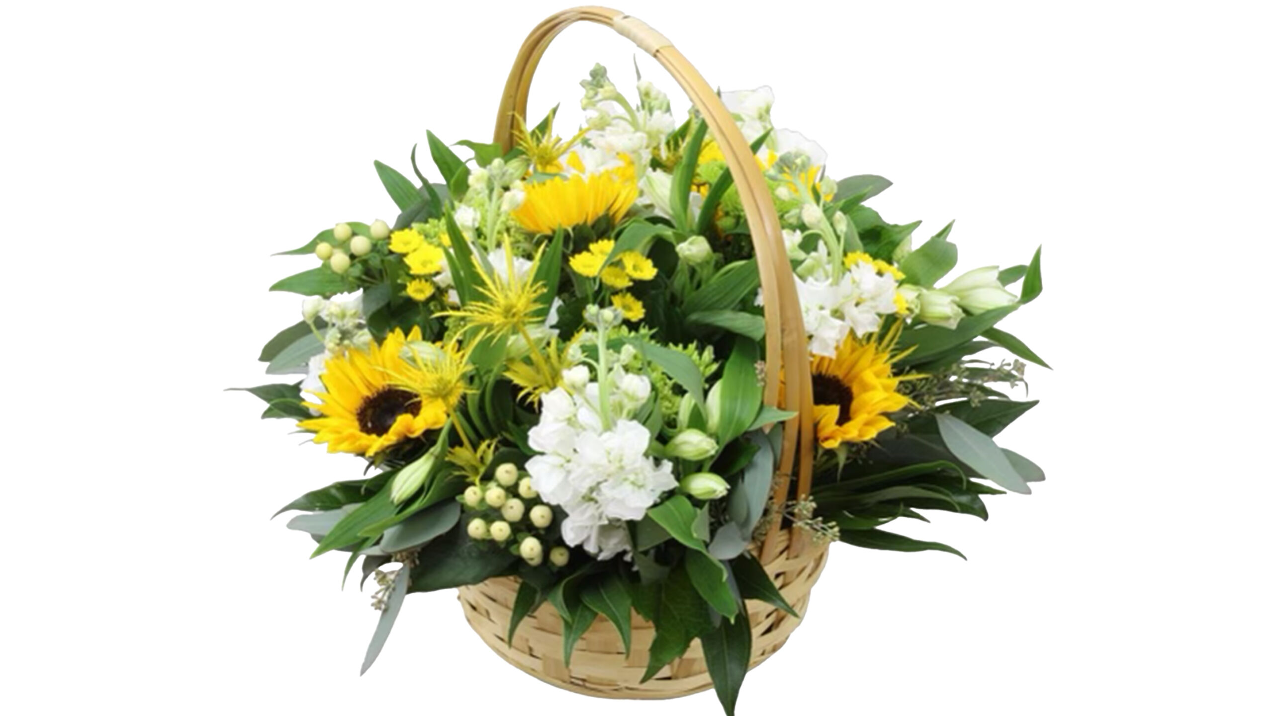 Fantasy Forest Floral Arrangement | House Plants for Sale - Forget Me Not Flower Market