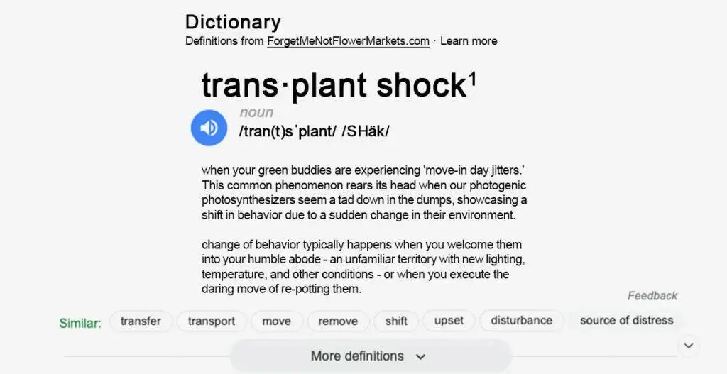 Plants Got the Moving Blues? Get the Ultimate Go-To Guide for Transplant Shock! - Learn how to prevent transplant Shock, How to treat Transplant Shock, the Red Flags and Transplant Shock Symptoms, ow long does transplant shock last? and Transplant Shock Prevention Tips