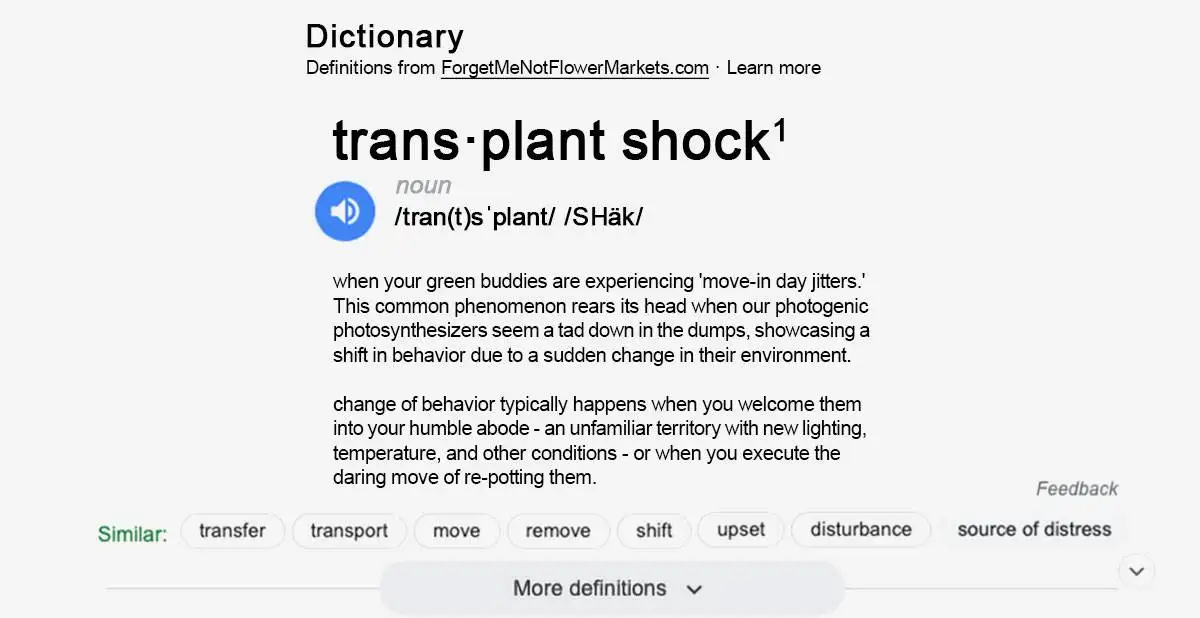 Plants Got the Moving Blues? Get the Ultimate Go-To Guide for Transplant Shock! - Learn how to prevent transplant Shock, How to treat Transplant Shock, the Red Flags and Transplant Shock Symptoms, ow long does transplant shock last? and Transplant Shock Prevention Tips